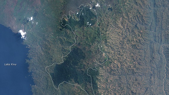 Die Satellitenaufnahmen von Landsat-5 (19. Juli 1986) und Landsat-7 (11. Dezember 2001) zeigen die Abholzung des Regenwaldes in Ruanda, Afrika.