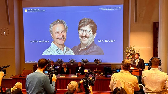 Thomas Perlmann (r), Sekretär der Nobelversammlung, verkündet die Gewinner des Nobelpreises für Medizin 2024, Victor Ambros (l-r, Leinwand) und Gary Ruvkun, von denen Fotos auf eine Leinwand projiziert werden.