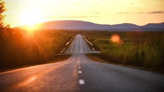 Lappland: tiefstehende warm-organge-farbene Sonne in Natur. Straße geht wellig gerade nach hinten zum Horizont, links und rechts Buschland, kleinere Berge am Horizont