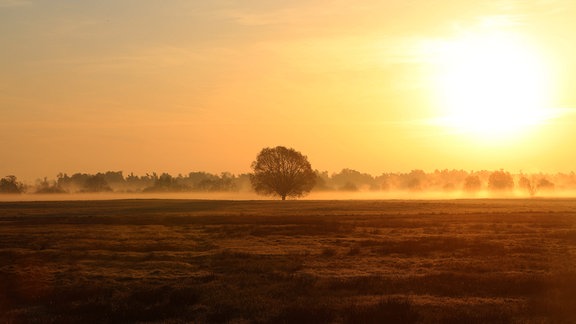 Landschaft im Morgenlicht der aufgehenden Sonne