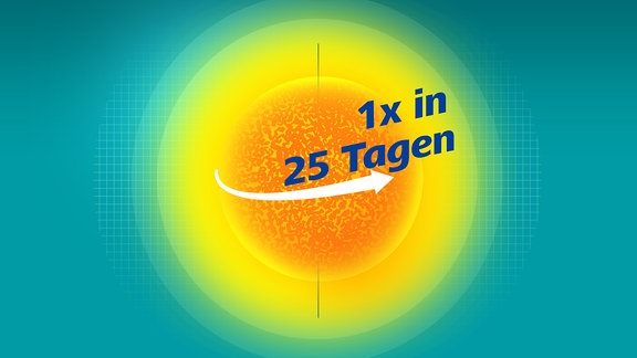 Die Sonne dreht sich einmal in 25 Tagen um ihre eigene Achse.