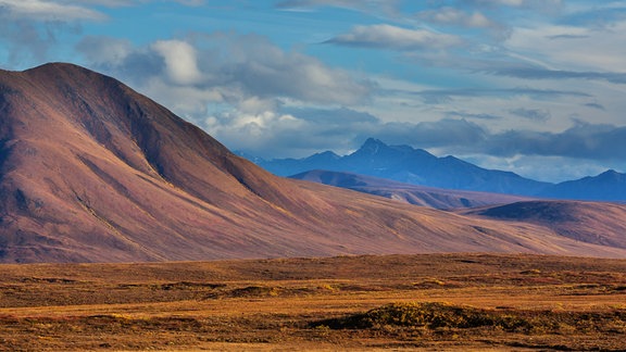 Naturbelassene Tundra-Lanschaft ohne sichtbare hohe Vegetation, Wildnis, karge aufragende Berge, warme Farben der Landschaft, blauer Himmel mit Wolken