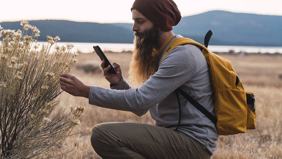 Junger Mann mit langem Vollbart, Mütze und gelbem Rucksack hockt vor einem Gewächs mit hellen Blüten in einer Graslandschaft. Warme, erdige Farben, melancholische Lichtstimmung