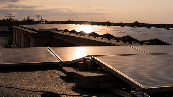 Im Licht der Abendsonne sieht man dutzende Solarmodule auf einem Dach eines Mehrzweckgebäudes.