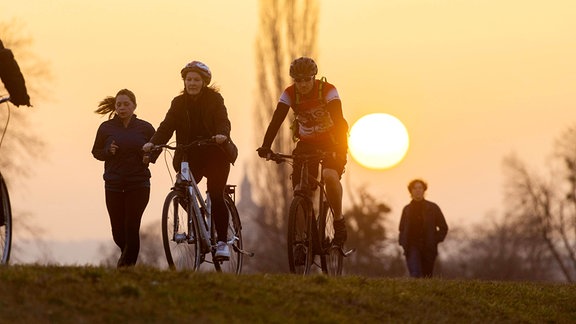 Vorfrühling in Dresden Die frühlingshaften Temperaturen locken viele Leute trotz Coronaeinschränkungen ins freie, auf die Elbwiesen und den Elberadweg. Die besondere Wetterlage färbt den Himmel früh und abends gelblich, durch eingeströmten Saharastaub. 