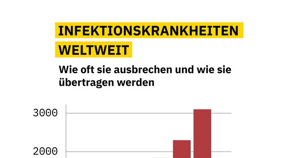 Entwicklung und Übertragungsart von Infektionskrankheiten weltweit