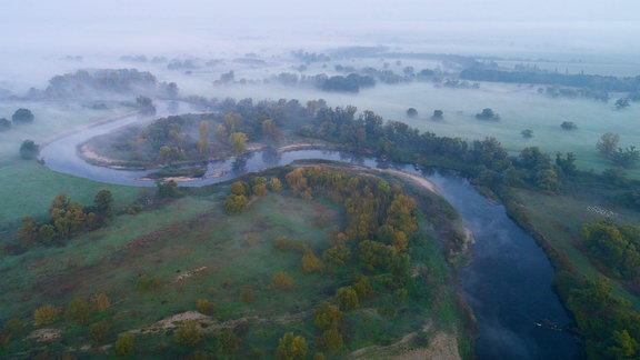 Ein Fluss liegt im Nebel.