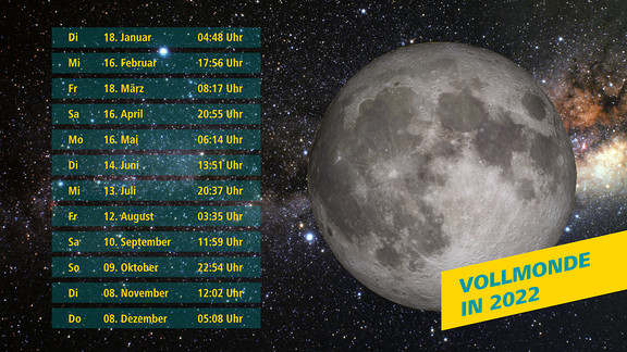 Eine Inforgrafik über die Tage in 2022, an denen der Erdtrabant in seiner Vollmondphase steht.