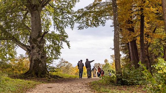 Herbstwanderung auf der Schwäbischen Alb bei Eningen