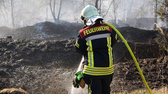 Feuerwehr löscht Waldbrand