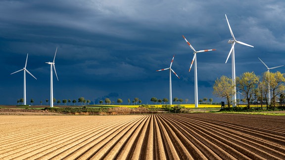 Dunkle Regenwolken über Windkraftanlagen an einem Rapsfeld