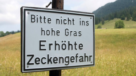 Warnschild mit der Aufschrift 'Bitte nicht ins hohe Gras - Erhöhte Zeckengefahr'